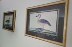 Eenden portretten, Ophalen, Minder dan 50 cm, Schilderij, Minder dan 50 cm