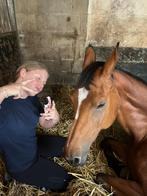 Bijrijder/verzorger aangeboden!, Dieren en Toebehoren, Paarden en Pony's | Overige Paardenspullen, Ophalen of Verzenden, Zo goed als nieuw