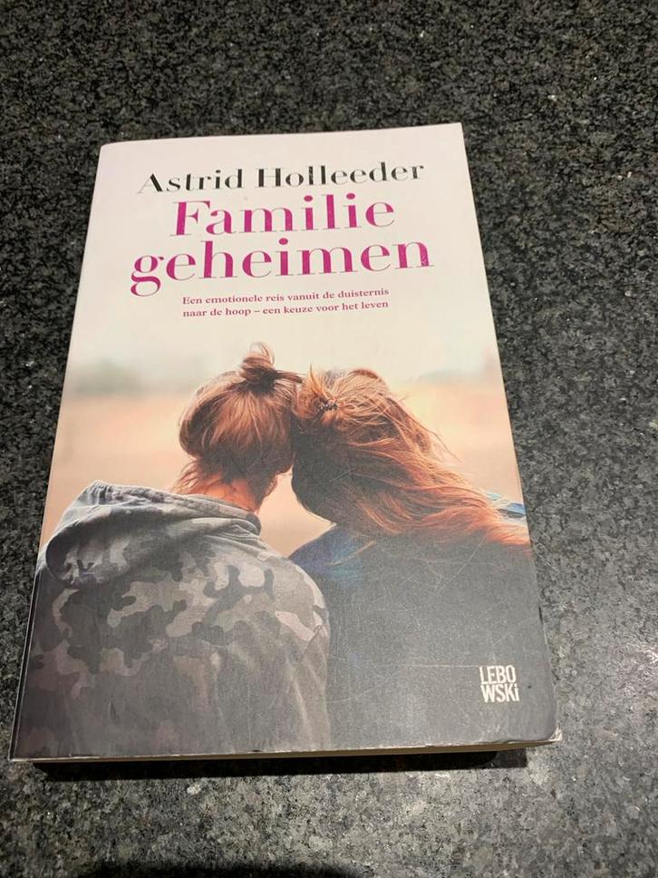 Familiegeheimen - Astrid Holleeder, Boeken, Romans, Zo goed als nieuw, Nederland, Ophalen of Verzenden