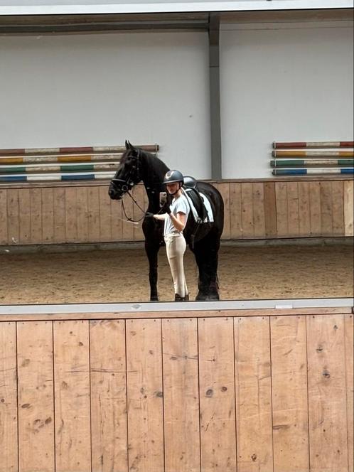 Bijrijder aangeboden, Dieren en Toebehoren, Paarden en Pony's | Verzorgingsproducten, Nieuw, Ophalen of Verzenden