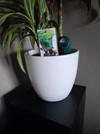 Witte plantenpot 23 cm hoog, Tuin en Terras, Rond, Ophalen of Verzenden, Zo goed als nieuw, Aardewerk