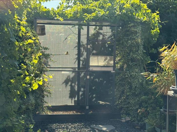 Voliere aluminium antraciet gecoat met zwart gaas 2 mtr, Dieren en Toebehoren, Vogels | Hokken en Kooien, Gebruikt, Volière, Aluminium