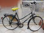 Dames fiets  gazelle framemaat 57, Ophalen, Minder dan 10 versnellingen, Gebruikt, 56 cm of meer