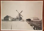Zaandam Molen de Tarweakker, Verzamelen, Foto's en Prenten, Ophalen of Verzenden, Voor 1940, Zo goed als nieuw, Overige onderwerpen