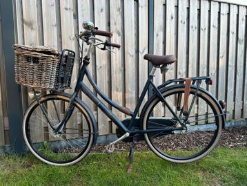 Cortina U4 transport  beschikbaar voor biedingen