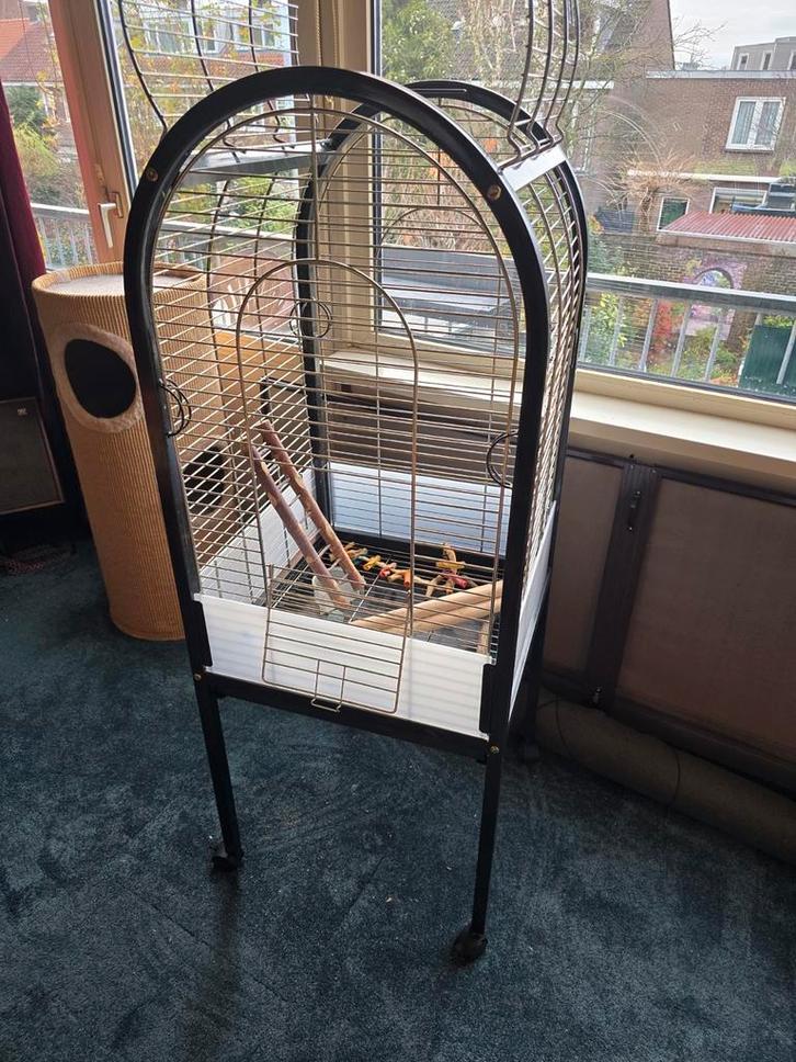 grote vogel/papagaaien kooi, Dieren en Toebehoren, Vogels | Hokken en Kooien, Zo goed als nieuw, Vogelkooi, Metaal, Ophalen