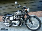 Triumph Bonneville T100, Motoren, Motoren | Triumph, Chopper, Bedrijf, Meer dan 35 kW, 865 cc