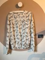 Blouse panters 122/128, WE, Meisje, Overhemd of Blouse, Ophalen of Verzenden