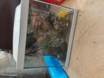 Aquarium starter pakket, Ophalen, Zo goed als nieuw, Leeg aquarium