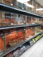Diverse reptielen en toebehoren., Dieren en Toebehoren, Reptielen en Amfibieën, 0 tot 2 jaar