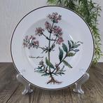 Villeroy & Boch Botanica Diep Bord 22 cm, Ophalen of Verzenden