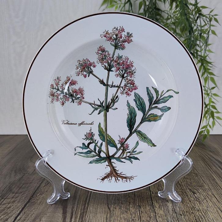 Villeroy & Boch Botanica Diep Bord 22 cm, Antiek en Kunst, Antiek | Servies los, Ophalen of Verzenden