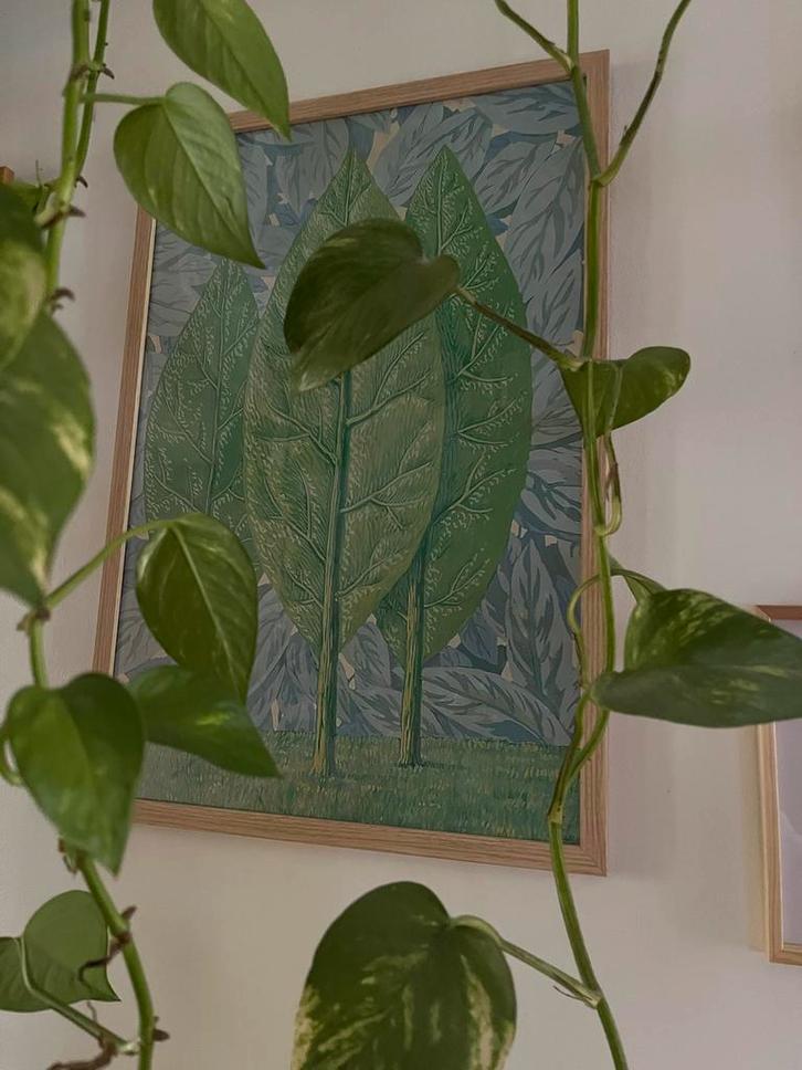 Posters en lijsten, Huis en Inrichting, Woonaccessoires | Schilderijen, Tekeningen en Foto's, Zo goed als nieuw, Foto of Poster