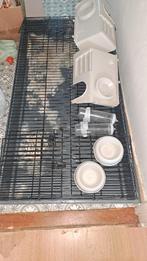 Konijnen/cavia binnen hok, Ophalen, 60 tot 90 cm, Cavia, Hok