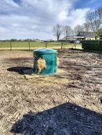 Hooistolp, Dieren en Toebehoren, Stalling en Weidegang, 2 of 3 paarden of pony's