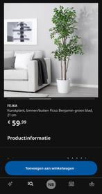 Kamerplant ikea, Huis en Inrichting, Woonaccessoires | Zuilen en Pilaren, Ophalen, Zo goed als nieuw