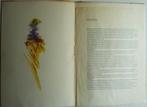 Paulien Wittenrood / A. den Doolaard Veluwe prent Nr 90 1988, Ophalen of Verzenden