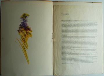 Paulien Wittenrood / A. den Doolaard Veluwe prent Nr 90 1988 beschikbaar voor biedingen