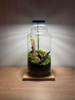 Ingericht terrarium in pot, Huis en Inrichting, Zo goed als nieuw, Ophalen