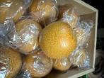 Kunst, Nep fruit , dummy, decoratie Galia Meloen, Ophalen of Verzenden, Nieuw, Versiering, Overige