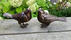 SET MERELS / brons / vogels / BRONZEN TUINBEELD/ bruin, Dierenbeeld, Nieuw, Info@huisentuindecoratiemarie.nl, Huis en tuin decoratie marie