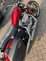 Harley Davidson Sportster, Motoren, Motoren | Harley-Davidson, 2 cilinders, Motorrijbewijs A, 883 cc, Particulier