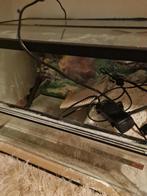 Leeg Schildpad terrarium met verwarming en filter 60*40*40, Dieren en Toebehoren, Reptielen en Amfibieën | Toebehoren, Ophalen