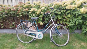 Gazelle primeur 54cm stadsfiets beschikbaar voor biedingen