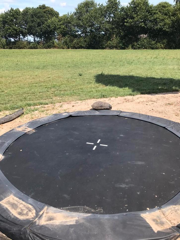 Te koop trampoline, Kinderen en Baby's, Speelgoed | Buiten | Trampolines, Zo goed als nieuw, Ophalen