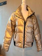 PROTEST winterjas goud Maat XL inclusief wanten, Overige kleuren, Maat 46/48 (XL) of groter, Nieuw, Ophalen of Verzenden