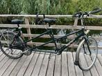 Multicycle Sport tandem, Minder dan 10 versnellingen, Gebruikt, 51 tot 55 cm, Ophalen