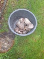 Veldkeien - 2 speciekuipen vol, Tuin en Terras, Grind, Keien en Split, Overige materialen, Gebruikt, Bruin, Ophalen of Verzenden