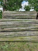 boompalen, Tuin en Terras, Ophalen, Zo goed als nieuw, 250 cm of meer, Palen