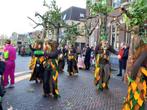Carnavalsgroep bomen, Ophalen of Verzenden, Zo goed als nieuw, Carnaval, Kleding