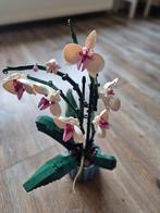 Lego Botanical Collection Orchidee, Kinderen en Baby's, Speelgoed | Duplo en Lego, Ophalen of Verzenden, Zo goed als nieuw, Complete set