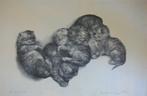 lithografie, Antiek en Kunst, Ophalen