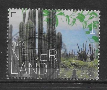 2024, Flora Bonaire, Zuilvormige Cactussen [....] (K0618) beschikbaar voor biedingen