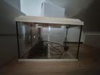 Juwel aquarium 60L, Dieren en Toebehoren, Vissen | Aquaria en Toebehoren, Ophalen, Leeg aquarium