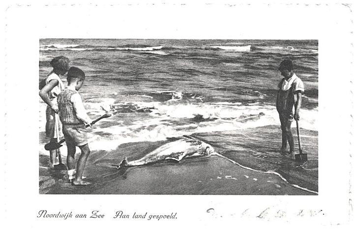 959010 Noordwijk aan Zee Aan land gespoeld 1938 Gelopen met, Verzamelen, Ansichtkaarten | Nederland, Gelopen, Zuid-Holland, 1920 tot 1940