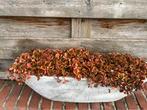 ⚠️️️ OPRUIMING! Grote betonnen bak propvol met Sedum Tornado, Tuin en Terras, Bloembakken en Plantenbakken, Ophalen, Minder dan 30 cm