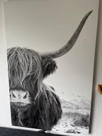 Canvas schilderij - Schotse Hooglander 75x105, Ophalen, Zo goed als nieuw, 75 tot 100 cm, Foto of Poster