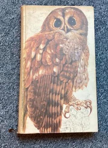 Het Beste Vogelboek - Prachtige Illustraties! beschikbaar voor biedingen