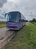 Paarse camper bus/ tiny house, Particulier, Buscamper of Camperbus, Overige merken