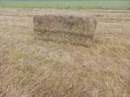 Droge balen gras/hooi, goede kwaliteit!, Ophalen of Verzenden, Vee