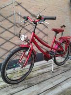 Meisjes fiets 20 inch., Ophalen of Verzenden, Zo goed als nieuw, 20 inch