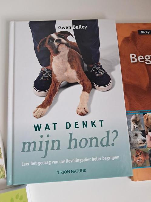 Gwen Bailey - Wat denkt mijn hond?, Boeken, Dieren en Huisdieren, Zo goed als nieuw, Honden, Ophalen of Verzenden