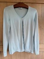 Peter Hahn vest 42, Ophalen of Verzenden, Zo goed als nieuw, Maat 42/44 (L), Blauw