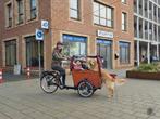Babboe Dog/Big hondenbakfiets familie bakfiets met huif