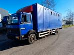 Te koop gevraagd oude paardenvrachtwagens/veewagens, Dieren en Toebehoren, Ophalen of Verzenden