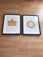 2 Ribba fotolijsten, Ophalen, Zo goed als nieuw